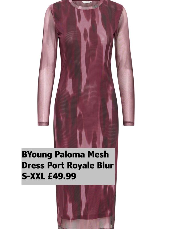 20815713-Paloma-Mesh-Dress-Port-Royale-Blur-S-XXL-49.99