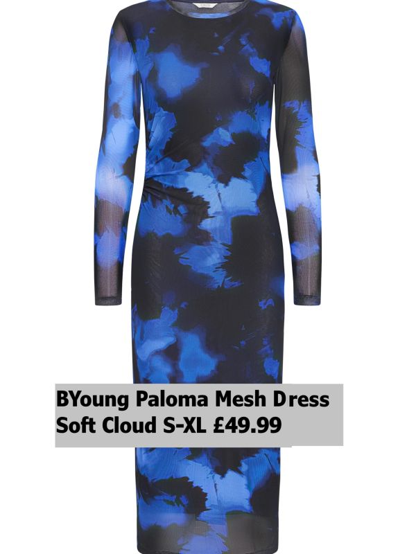 20818310-Paloma-Mesh-Dress-Soft-Cloud-Blue-S-XL-49.99