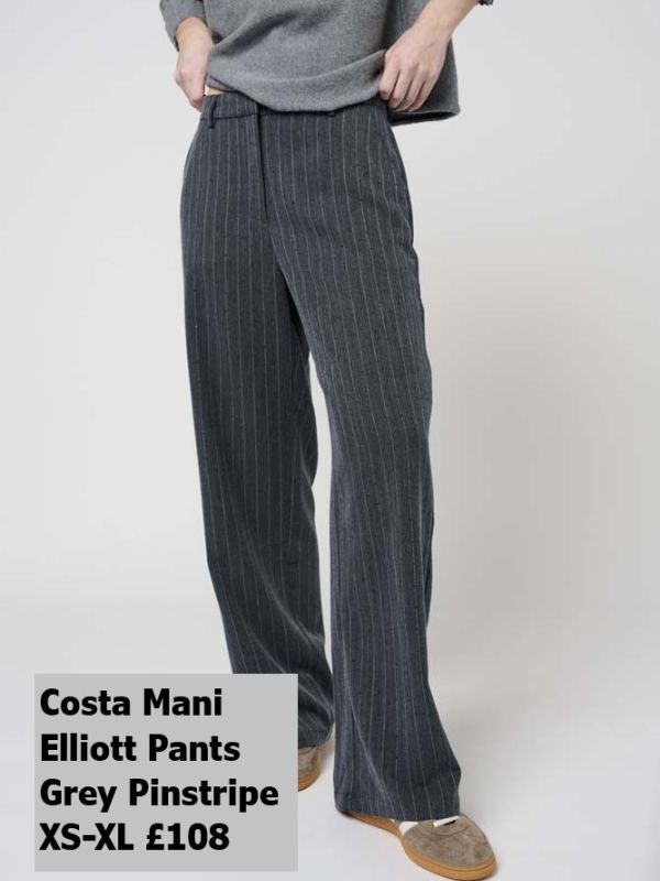 2510407   Elliott Pants   Grey Pin   XS XL £108 Model 2