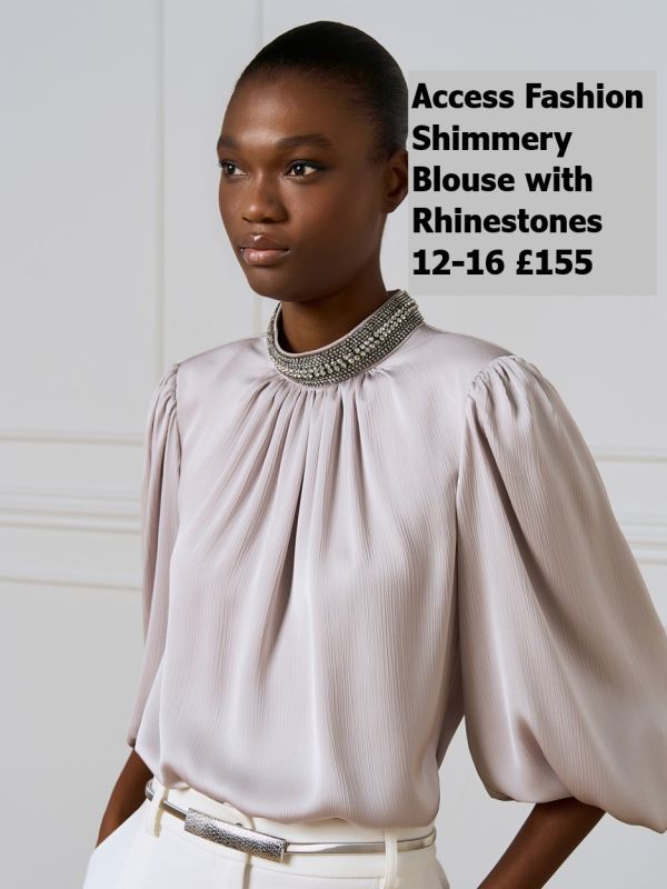 54-2016-Shimmery-blouse-with-Rhinestones-Silver-12-16-155