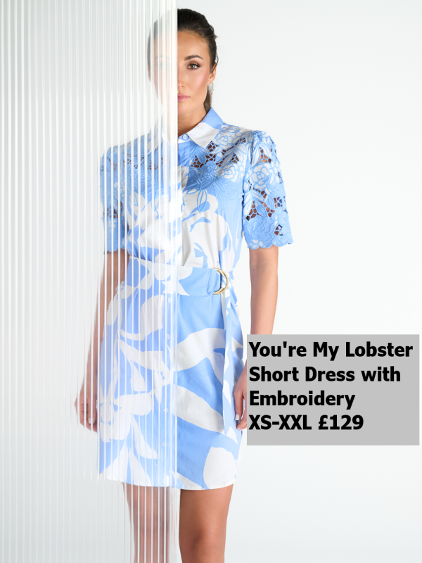 C704L-P066-Short-Dress-with-embroidery-129