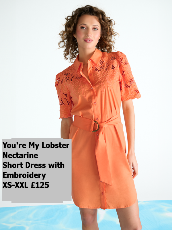C733L-nectarine-short-dress-with-embroidery-XS-XXL-125