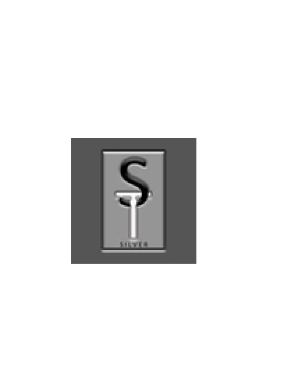 S and T Silver