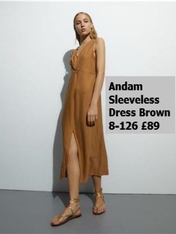 V268410-Dress-Brown-8-16-89